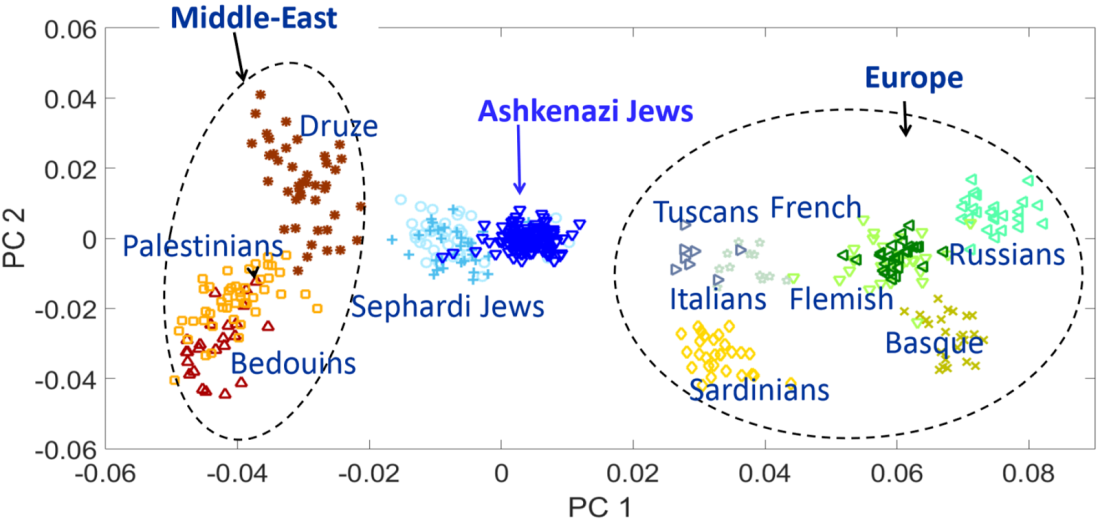 In terms of autosomal DNA, Ashkenazi Jews and Sephardic Jews cluster in between other Middle Easterners and Europeans. This is a reflection of the fact that their Semitic male ancestors interbred with native women in southern Europe.