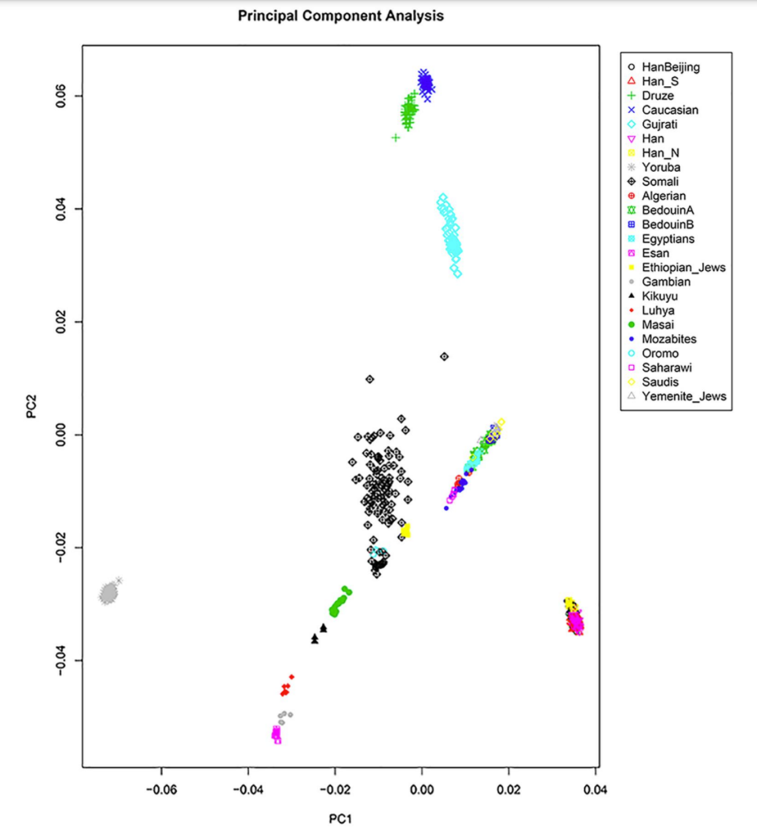 Principal Component Analysis of modern Northern Somali, Oromo, Ethiopian Jew and other global individuals. The Northern Somalis, who were born in the northeastern Puntland region of Somalia (most hailing from the Majerteen Darod clan), primarily cluster in a position parallel to but separate from the North African/Arabian cluster. This suggests that, on average, these Northern Somali individuals bear a comparable level of non-African ancestry as do North African individuals, though their constitutive non-African genome components appear to differ somewhat (Fig. S1 in Osman and Jonasson (2022)).
