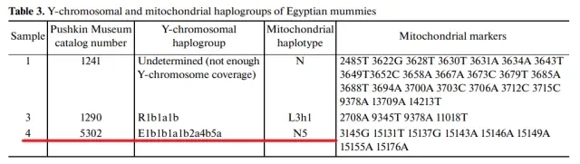 Y-DNA and mtDNA haplogroups of ancient Egyptian mummies analysed at the Kurchatov Institute. One of the individuals belongs to E1b1b1a1b2a4b5a, a derivative of the V22 sublineage of E1b1b, a signature paternal clade among Egyptians and other Afro-Asiatic-speaking populations (Yatsishina et al. (2021)).