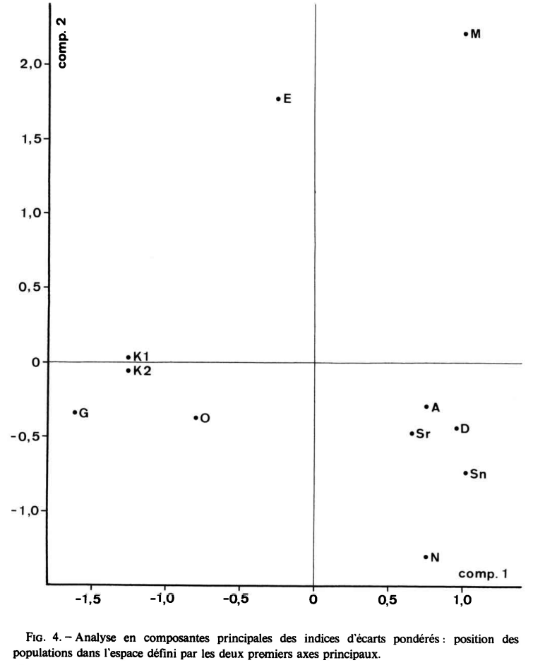 Anthropometric analysis of Afro-Asiatic and Nilo-Saharan-speaking populations. The Cushitic-speaking samples (Galla (G) from central Ethiopia and Oromo (O) from west-central Ethiopia) group with Egyptians from the Kharga Oasis (K1, K2). The Nilo-Saharan-speaking samples form their own seperate cluster. This agrees with the view that the Land of Punt was situated in the Horn region (Leguebe (1981)).