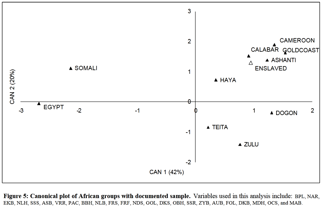 Craniometric analysis of contemporary and early modern individuals from northern Somalia, Egypt, Sub-Saharan Africa, and the African Diaspora (African Americans, labeled here "Enslaved"). The Afro-Asiatic-speaking Somali and Egyptian samples cluster together, separately from the other populations. As the scientist notes, "Somalia and Egypt are closest to one another" (Spradley (2006)).